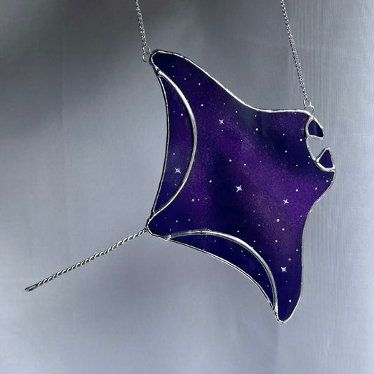 Stained Glass Galaxy Manta